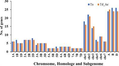 Genome-wide identification and expression analysis of the regulator of chromosome condensation 1 gene family in wheat (Triticum aestivum L.)